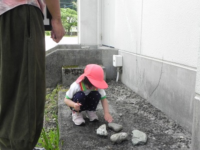 DSCN7867