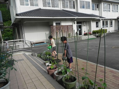 DSCN8021