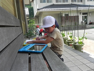 DSCN8173