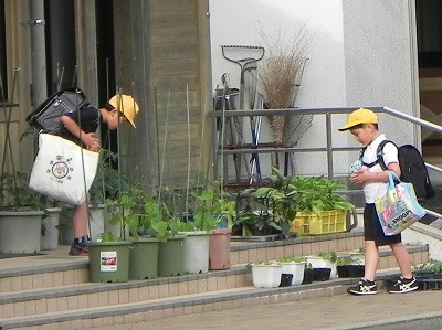 DSCN8361