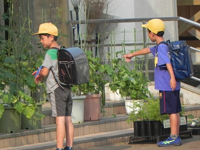 DSCN0736