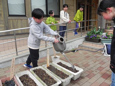 DSCN5551