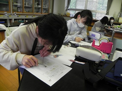 DSCN5581