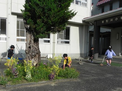 DSCN7677