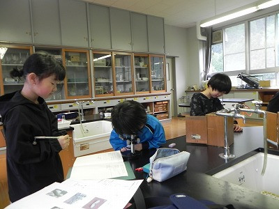 DSCN7920