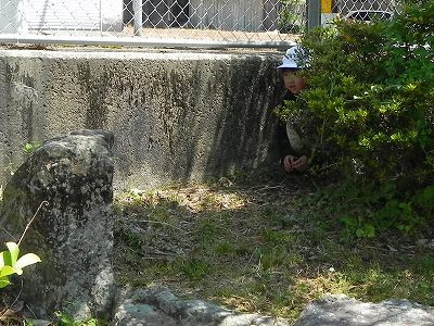 DSCN9400