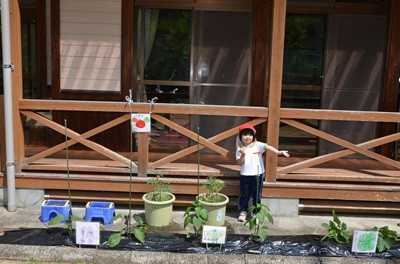 DSC_0337 - コピー