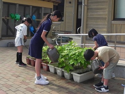 DSCN0277