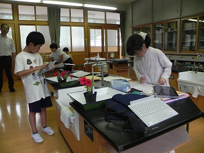 03 (2)