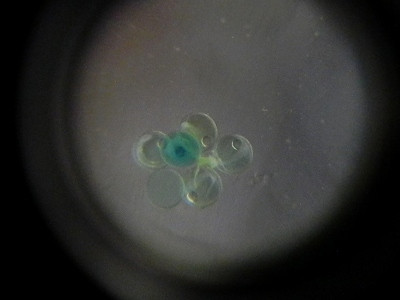 07 (4)