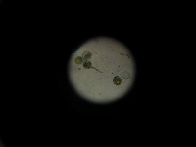 DSCN1502