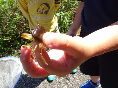 DSC02869