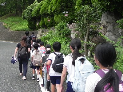DSCN2641