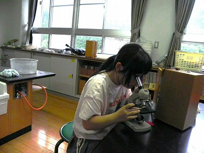 05 (4)