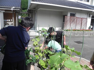 DSCN3454
