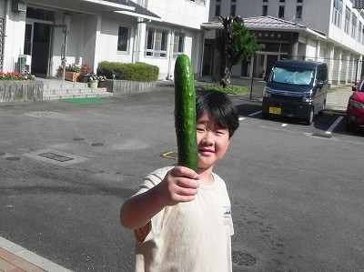 DSCN3453