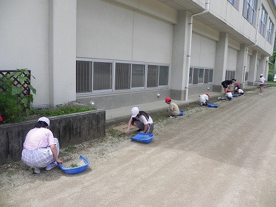 DSCN5017