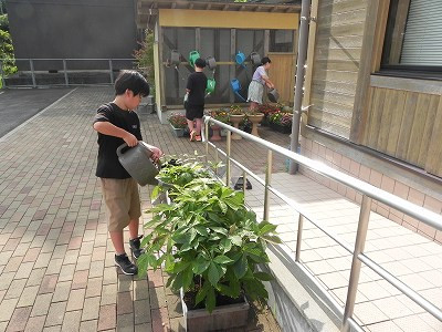 DSCN5326