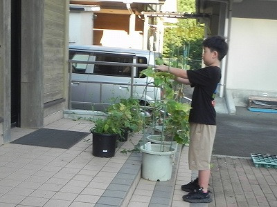 DSCN5692