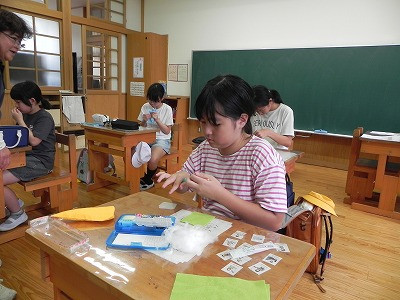 03 (10)