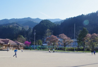 IMGP3804
