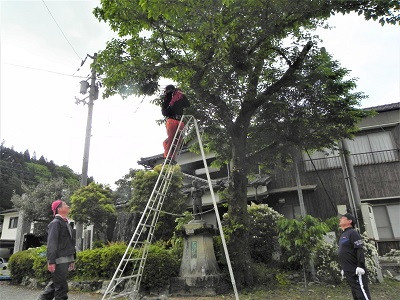 DSCN9143