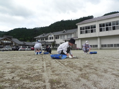 DSCN9167