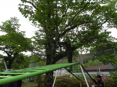 DSCN9194