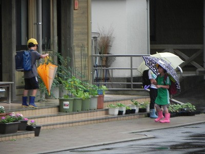 DSCN9093
