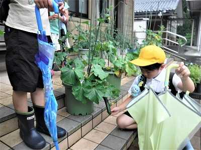 DSCF5320
