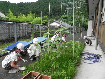 DSCN0230