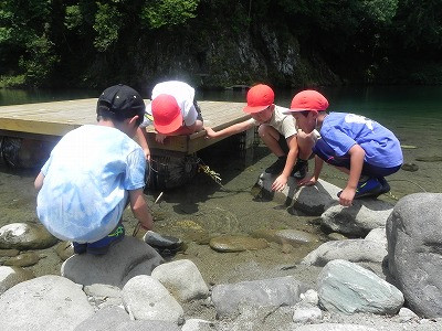 DSCN0682