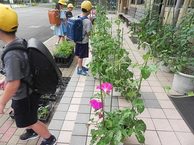 DSCN7432
