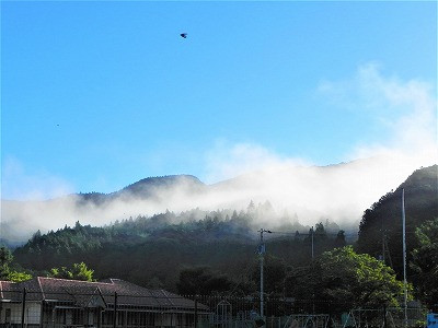 DSCN7849