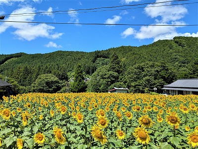 PXL_20250728_012012823