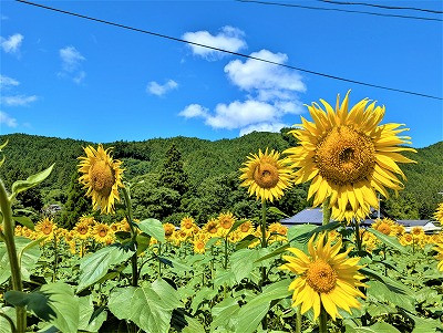 PXL_20250728_012036978