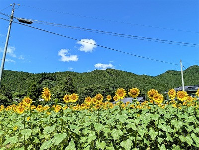 PXL_20250728_012930949