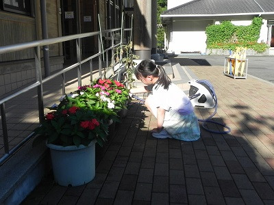 DSCN8129