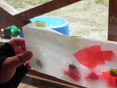 DSCN8771