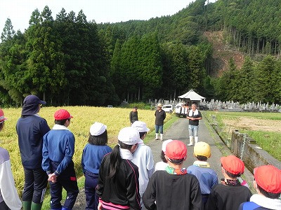 DSCN9071