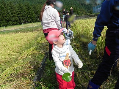 DSCN9086