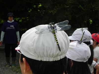 DSCN9285