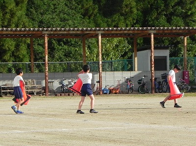 01 (3)