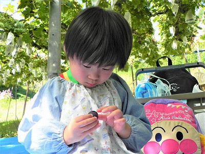 DSCN0634