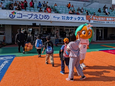 PXL_20251108_034743261