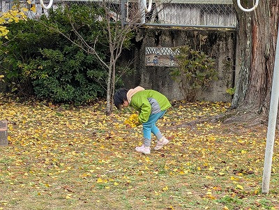 PXL_20251118_064612772