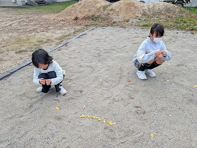 PXL_20251118_064936674