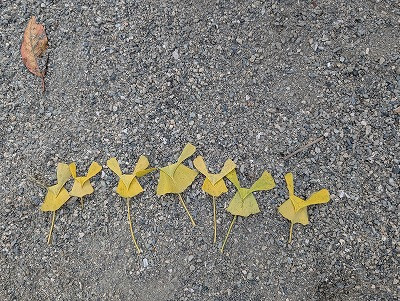 PXL_20251118_064918040