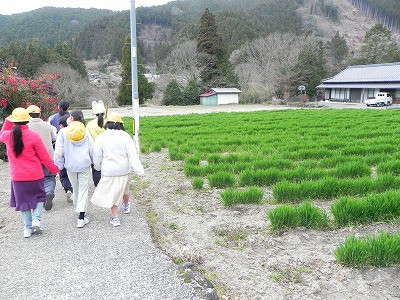 DSCN4226