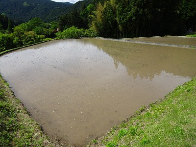 DSC08204